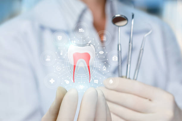 Best TMJ/TMD Treatment  in Gotha, FL